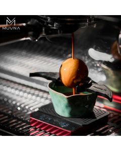 MUVNA - Ice Ball Set Gold
